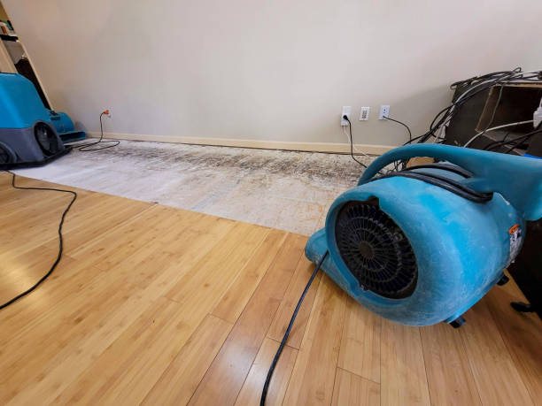 Professional Water Extraction technician working in Wadsworth, IL
